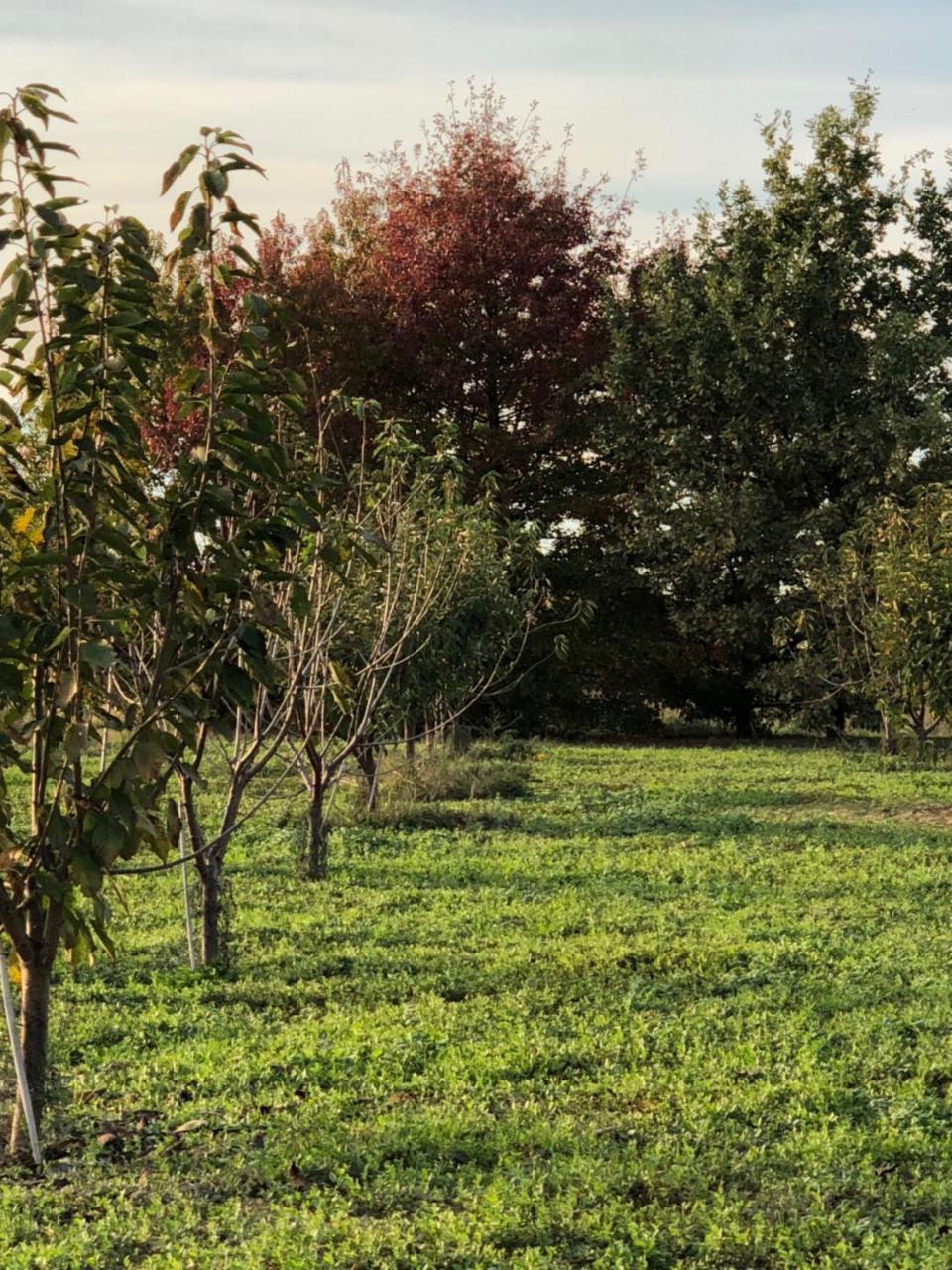 Villa Cascina San Giorgio Valenza Exterior foto