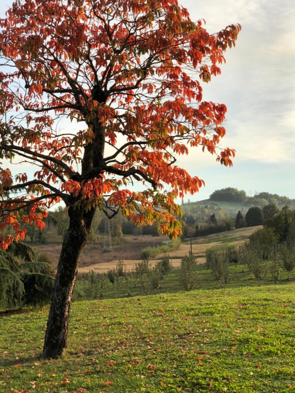 Villa Cascina San Giorgio Valenza Exterior foto